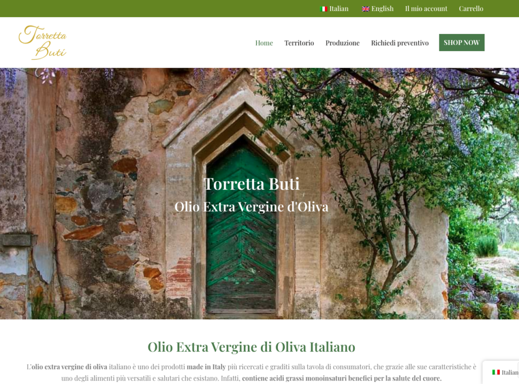Torretta Buti Web Designer Freelance Pisa